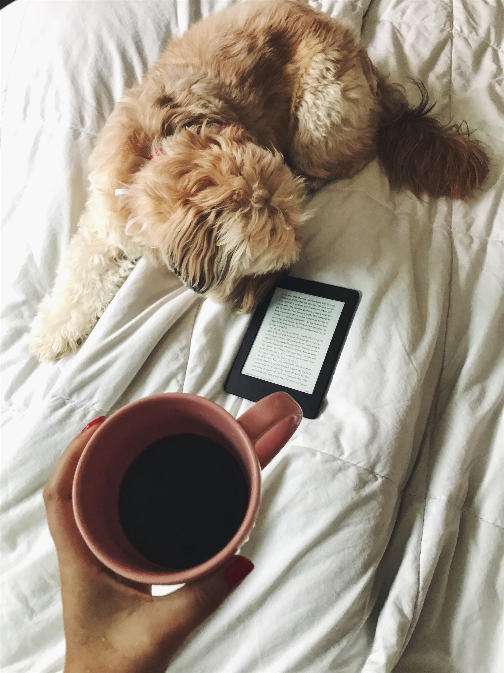 Livros digitais a praticidade do Kindle